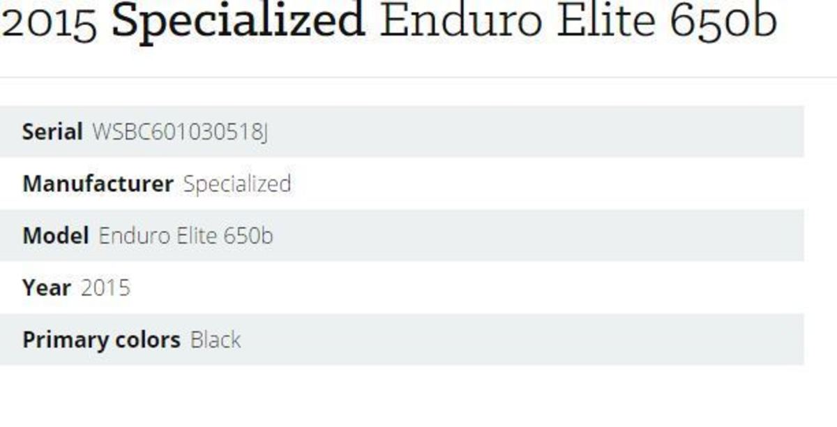 2015年专业耐力长跑精英650 b