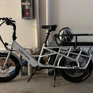 2023年Lectric eBikes eBike XPedition货物